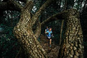 BIB: 
                            <button type="button" onclick="openModal(25699019)" class="btn btn-primary btn-sm float-right btn-popup" data-toggle="modal" data-target=".modal-high-quality">
                        <i class="fas fa-shopping-cart"></i> Add to Cart
                    </button>
                                            <button type="button" onclick="isThisMe(25699019, true)" class="btn btn-success btn-sm float-right btn-popup btn-isme hidden" data-toggle="tooltip" data-placement="bottom" title="นี่คือรูปของคุณใช่ไหม คลิกที่นี่เพื่อเอาเข้าอัลบั้ม">
                        <i class="fas fa-plus"></i> Add to album
                    </button>
                    <button type="button" onclick="isThisMe(25699019, false)" class="btn btn-warning btn-sm float-right btn-popup btn-isnotme hidden">
                        <i class="fas fa-ban"></i> Remove from album
                    </button>